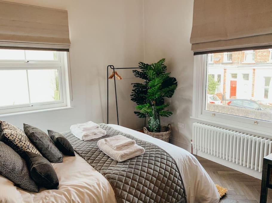 The Garden Apartment *